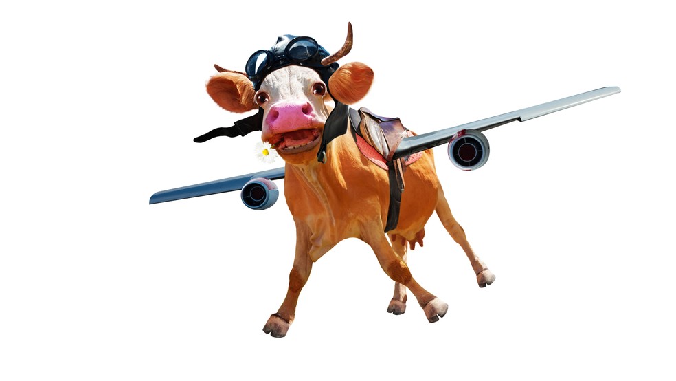 vaca voando alta — Foto: Getty Images