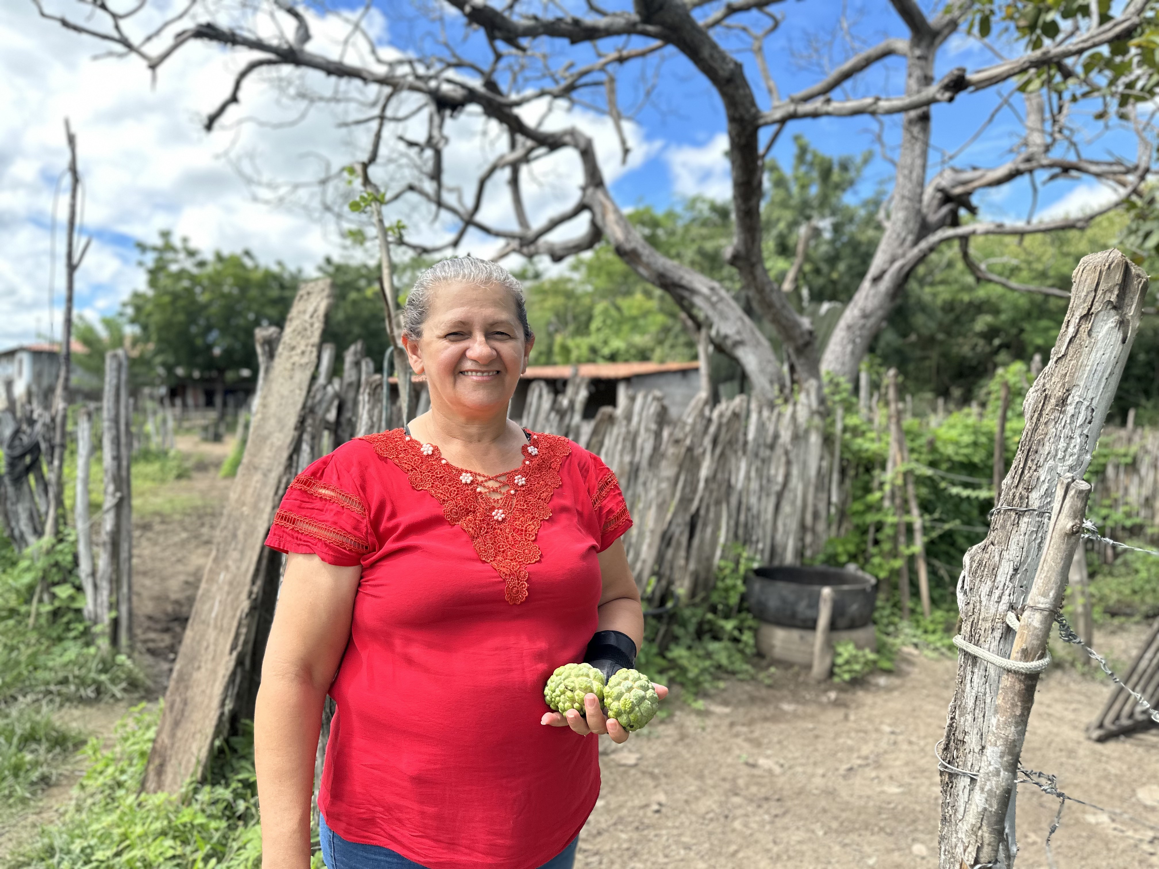 Do sonho à colheita: microcrédito abre caminho para o agro no Nordeste