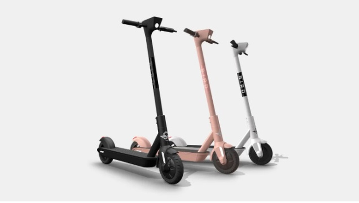 Electric shop scooter bird