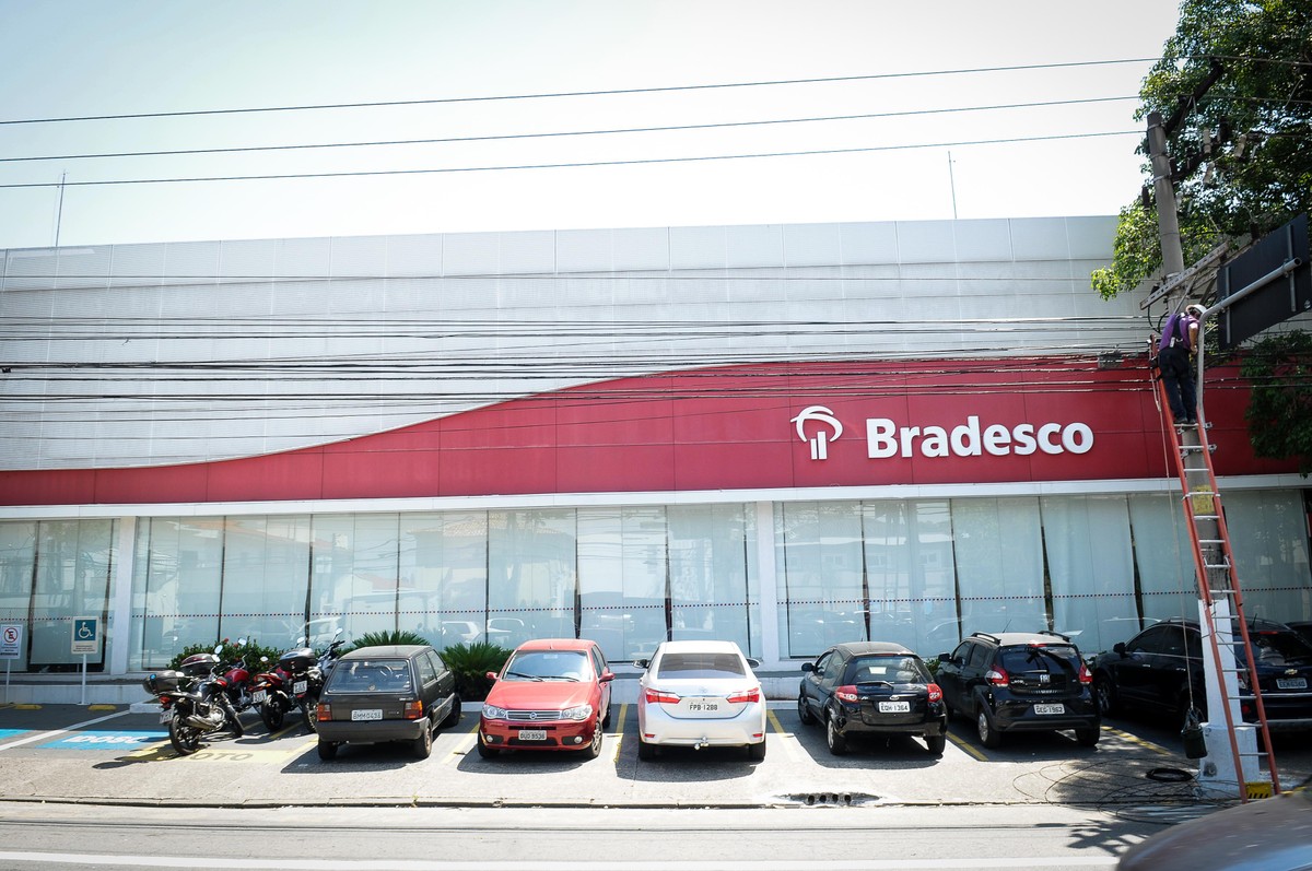 Bradesco BBDC4 Ambev ABEV3 Azzas 2154 AZZA3 Veja Os Destaques 