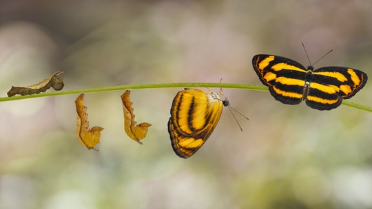 Fundos Imobiliários